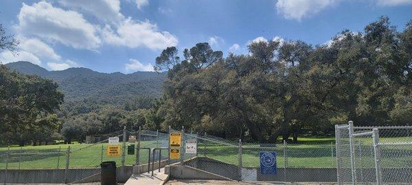 Nice open field to play with kids while your fury animal enjoys his time.