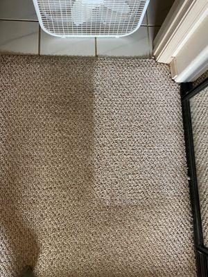 Carpet before and after