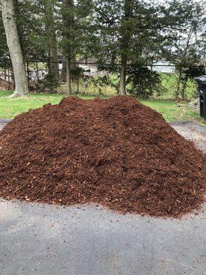 Hemlock mulch