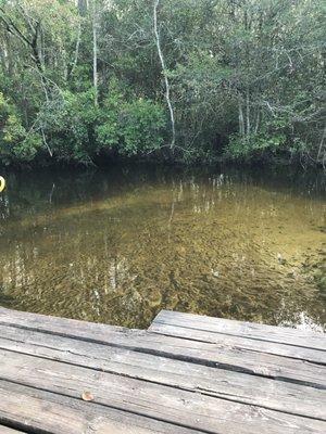 Water so clear