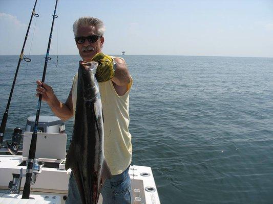 Cobia? Let's eat.