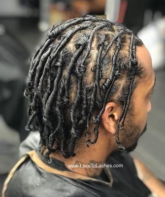 Starter Locs