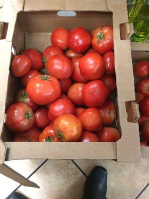 Organic tomatoes