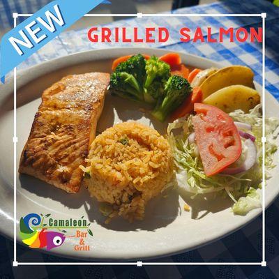 Grilled Salmon