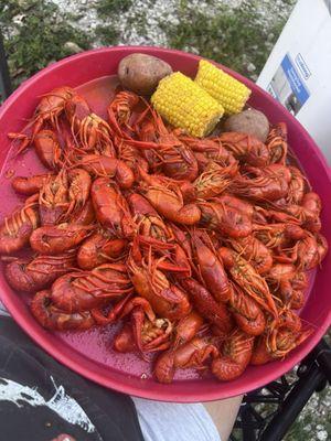 Crawfish