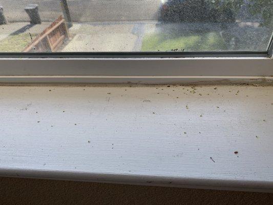 Filthy window ledge