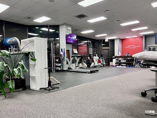 This is the physical therapy area, with a row of adjustable beds/tables off photo.