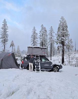 Yosemite - 5 inches of snow!