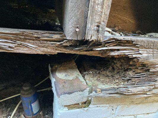 Termite damage, house is collapsing