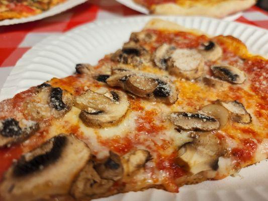 Mushrooms Pizza