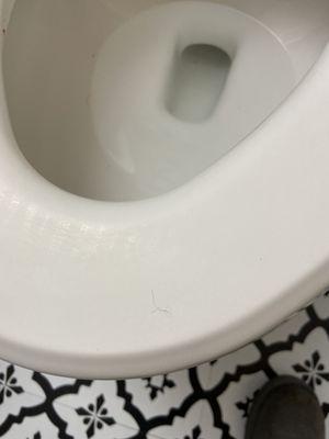 Hair on toilet seat