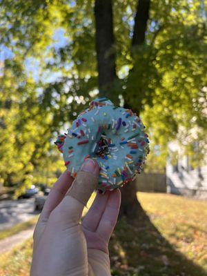 Rainbow Pony donut