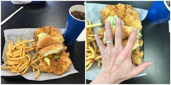 GIANT pork tenderloin sandwich.