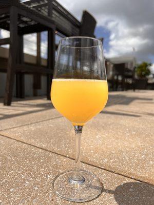 Birthday mimosas in the rooftop pool