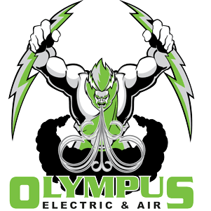 Olympus Electric And Air