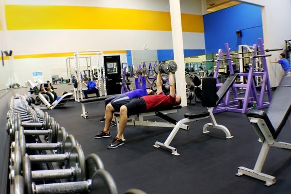 Weights and cybex machines.