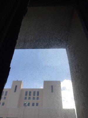 Dirty disgusting windows