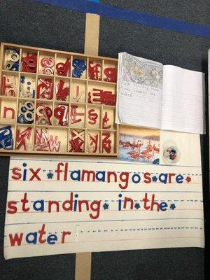 Language | Movable Alphabet - Forming words and sentences and learning about spacing.