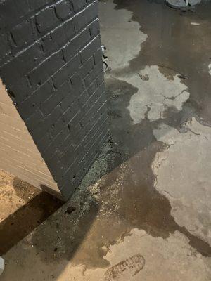 Water still coming into basement when it rains.