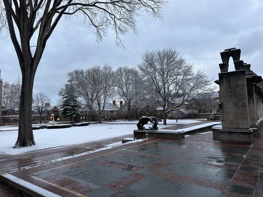 Cranbrook quad