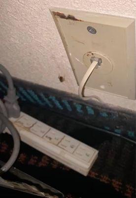 Roach on the wall, crisp new power strip in room