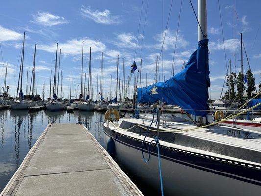 Well maintained boats and docks