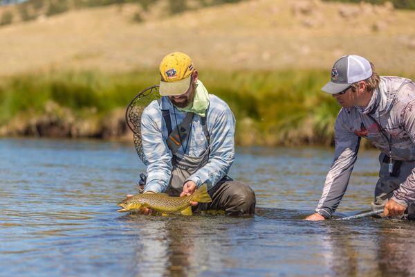 A beautiful brown trout caught on a wading guide trip.