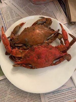 Female verses male crabs.  Male is bigger.