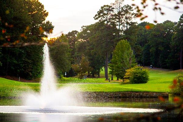 Wildwood Fountain