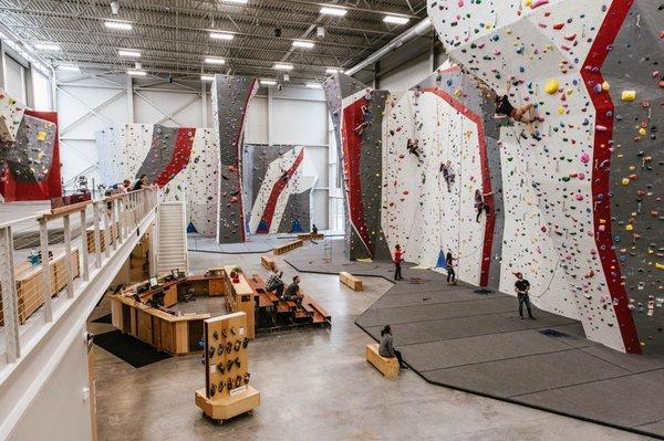 Adventure Rock Climbing and Fitness