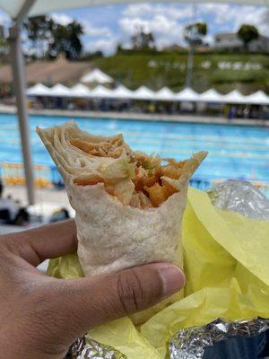 Buffalo Chicken Wrap with French fries inside.