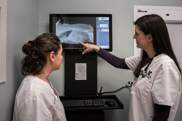 We offer x-ray services