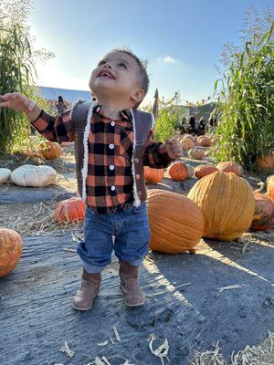 Having so much fun at the pumpkin patch