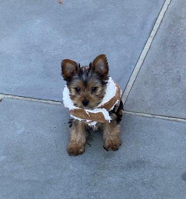 Bundled up for playtime outside.