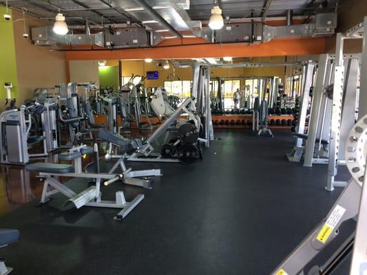 Entire free weight and machine area. Also an elliptical area to the far left.