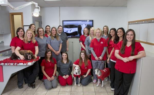 Gahanna Animal Hospital