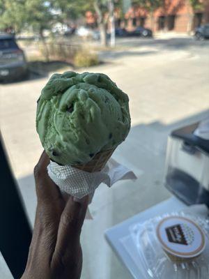 Mint chocolate chip