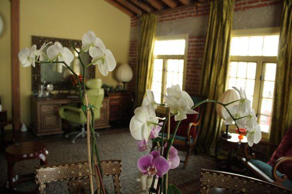 Stunning orchids decorate the center