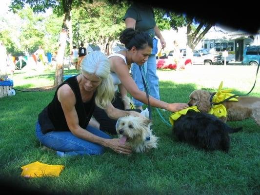 Pooch Parade Preparation...receive class hours and experience!