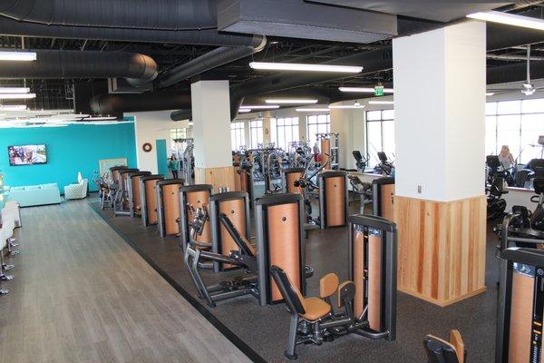 State-of-the-art Life Fitness Strength Equipment