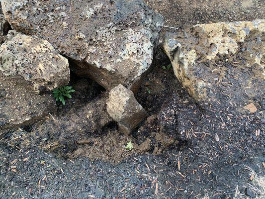 Sink holes, dead tree on new construction & zero attempts to fix.