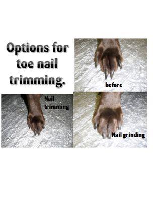 We offer walk in toe nail trimming & grinding. No appointment is necessary.