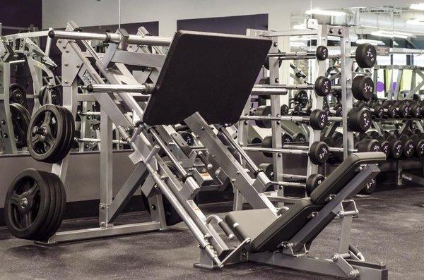 Free Weights and Machines to help you target each muscle...