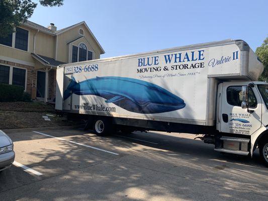 Blue Whale Moving Company