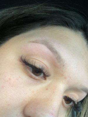 Right brow she thinned out when she wasn't supposed to (white part under is where my normal thickness is )