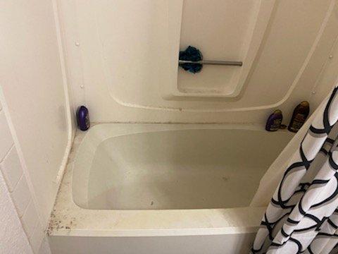 Moving in to a moldy bathtub.