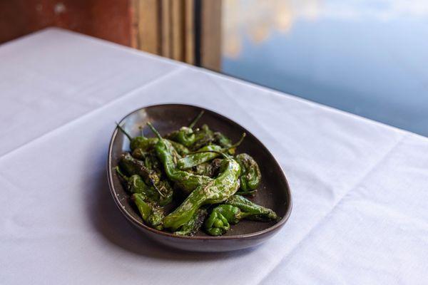 Shishito Peppers - blistered and tossed with garlic oil, lime, and salt