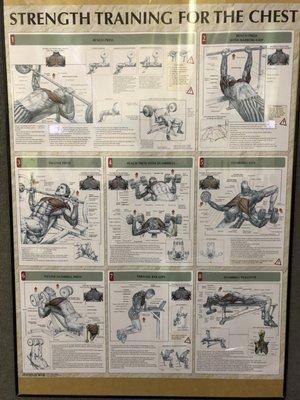 Chest exercises