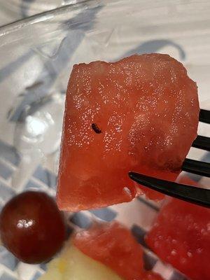 Dead bug in my fruit salad.