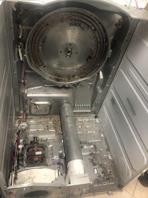 I was amazed at how much lint had collected inside my machine, a fire hazard!